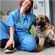 Licenciada Veterinaria ofrece clases para estudiantes que cursen el título de profesionalidad como ATV's y biología